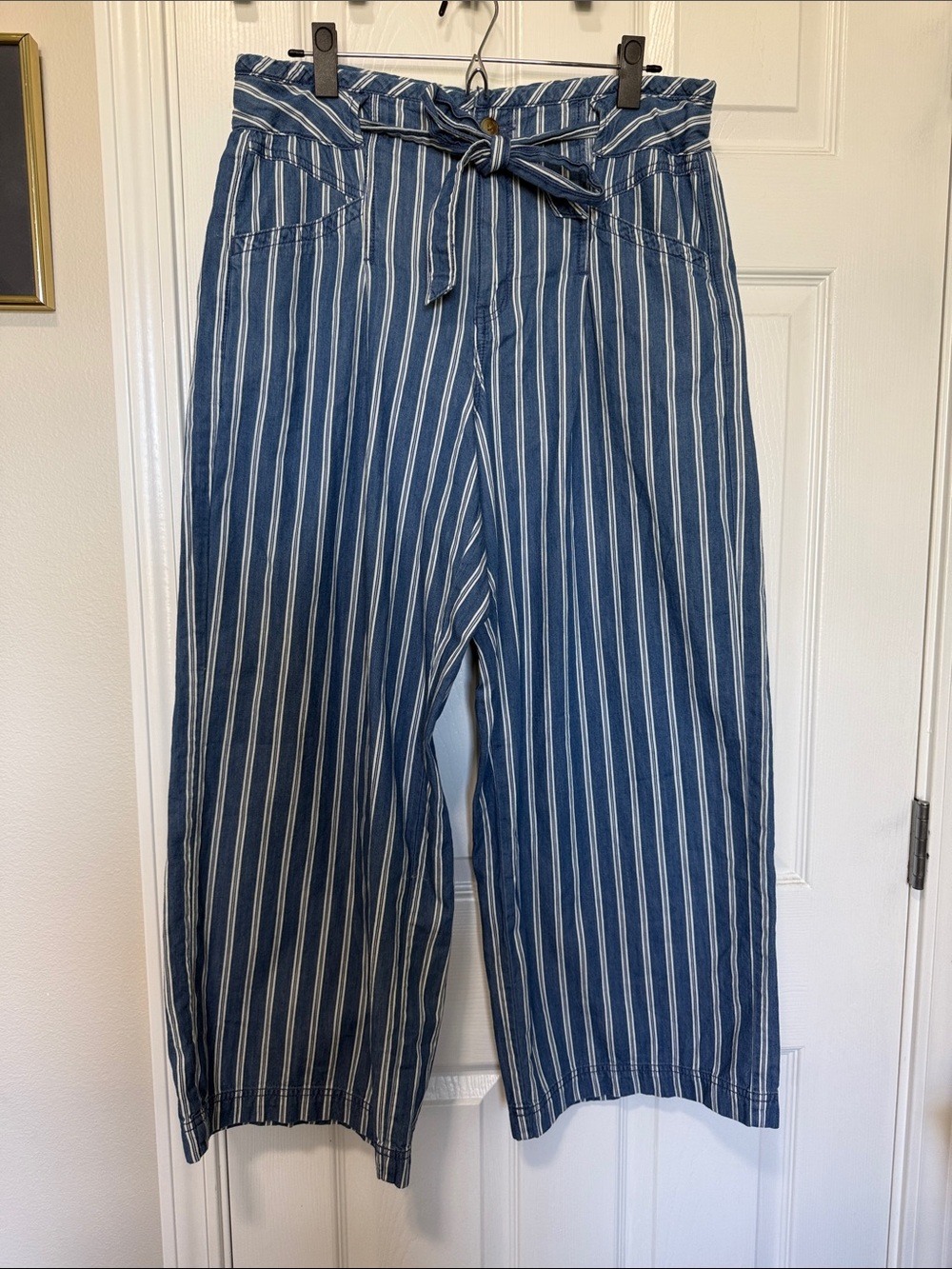 American Eagle Womens Blue Striped Paperbag Waist pants w/tie Sz 12 short EUC
